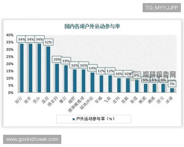 凤凰体育网址在体育行业中的发展历程与未来发展趋势分析